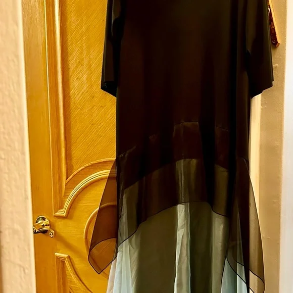 Elegant Black and Blue Sheer Dress - Picture 2 of 3